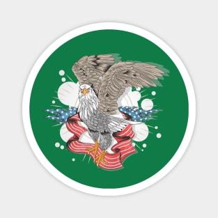 Usa Flag Eagle Magnet